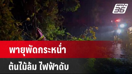 พายุพัดกระหน่ำ ต้นไม้ล้ม ไฟฟ้าดับ  | โชว์ข่าวเช้านี้  |  27 มี.ค. 67