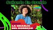 GANADORES Kids Choice Awards México 2023 | Lista de Ganadores OFICIAL!