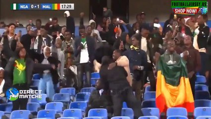 Nigeria vs Mali 2-0 Highlights _ All Goals 2024 HD