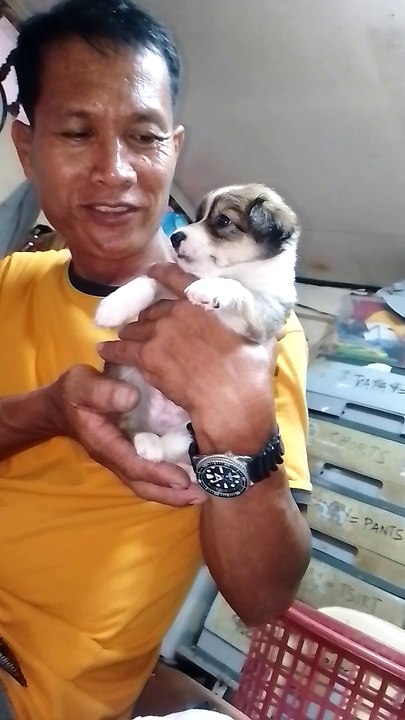 My Oreo
