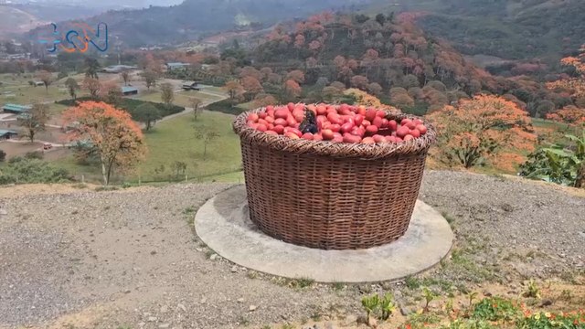 mqn-proyecto turístico en Orosi sorprende con estructuras gigantes de café y aguas termales-260324