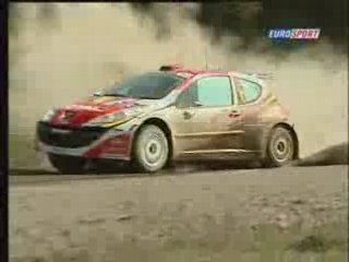 IRC Turquie résumé 2008