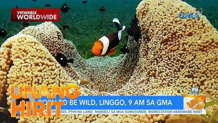 Born to be Wild, ngayong Linggo! | Unang Hirit