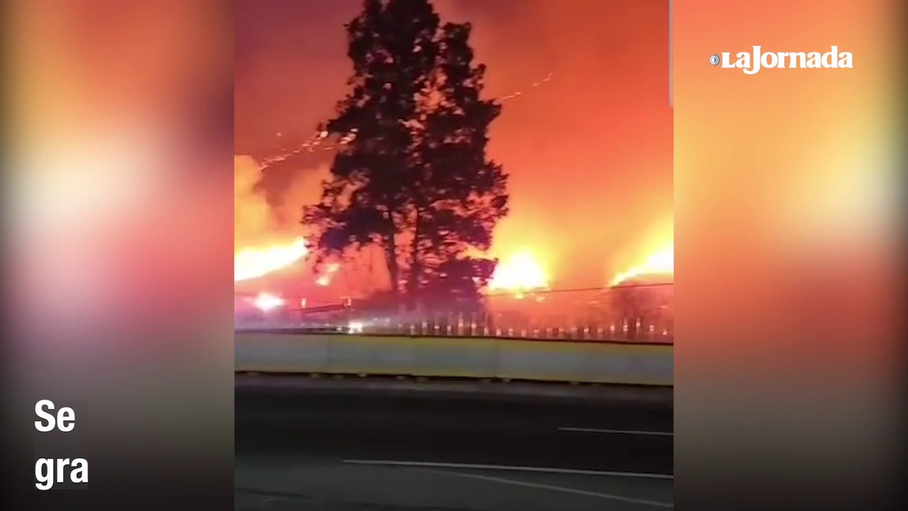 Se registra incendio forestal de grandes dimensiones en Veracruz