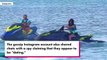 Drake y Camila Cabello se acurrucan en Turcas y Caicos con motos de agua