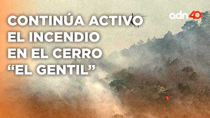 Continúa activo el incendio forestal en el Cerro "El Gentil" en Veracruz