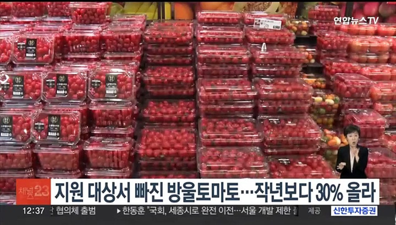 지원 대상서 빠진 방울토마토…작년보다 30% 올라