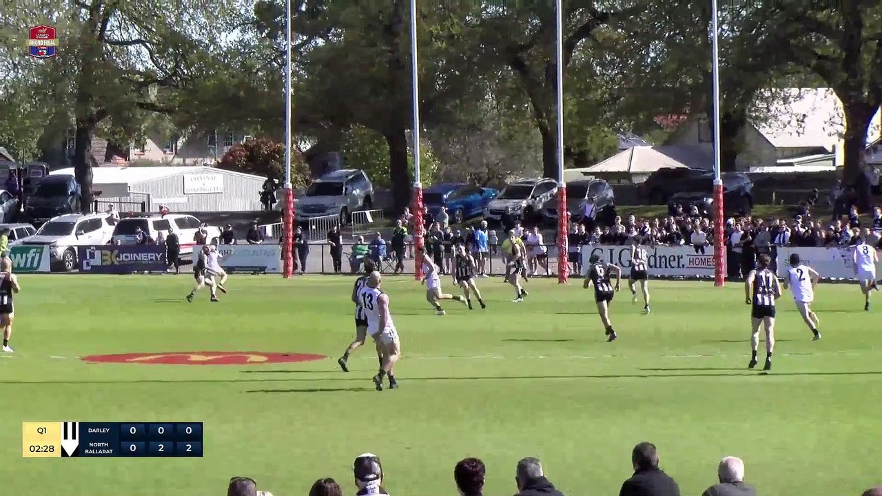 BFNL grand final goals test