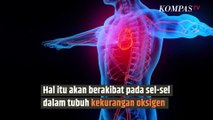 Langsung Merokok saat Buka Puasa, Dokter Ungkap Fakta Mengerikan Ini | SINAU