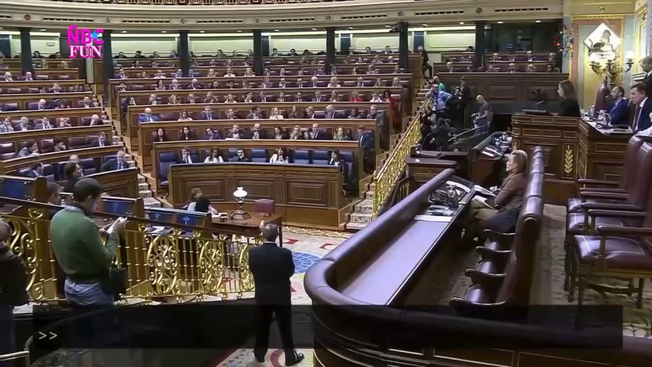 Bronca en el congreso con los Bravo y Frigodedo!!! El conejo no rompe España!!!
