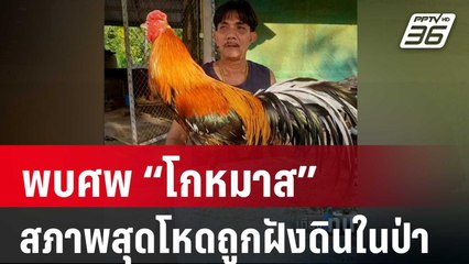 พบศพ “โกหมาส” สภาพสุดโหดถูกฝังดินในป่า | เที่ยงทันข่าว | 27 มี.ค. 67