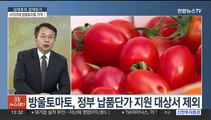 [김대호의 경제읽기] 정부 지원 과채류 가격 하락세…방울토마토 가격은 상승