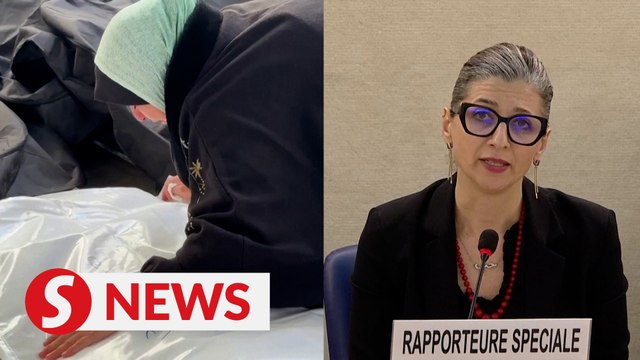 UN expert says Israel has committed genocide in Gaza, calls for arms embargo