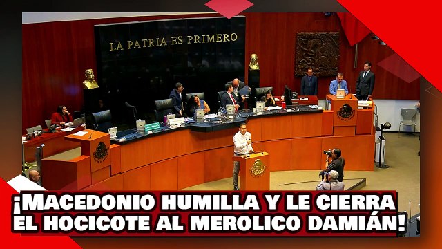 ¡VEAN! ¡Salgado Macedonio humilla y le cierra el hocico al merolico Damián Zepeda por atacar a AMLO!