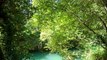 Evasion relaxante : eau turquoise de la rivière la Bresque, vent dans les arbres, musique apaisante