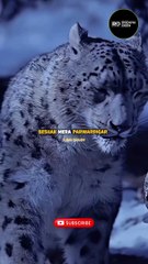 Day 12 of Daily Upload Quran recitation/ Surah/ Quran translation/ Quran urdu