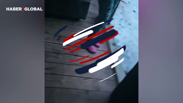 Donup kaldılar: Evlerinin önü bir anda kurt sürüsü ile doldu!