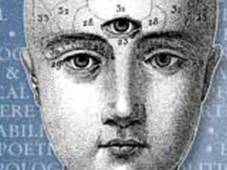 Consciousness Awakening  (Ralph Buckley)