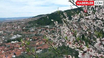 Kütahya'da Baharın Gelişiyle Badem Ağaçları Çiçek Açtı