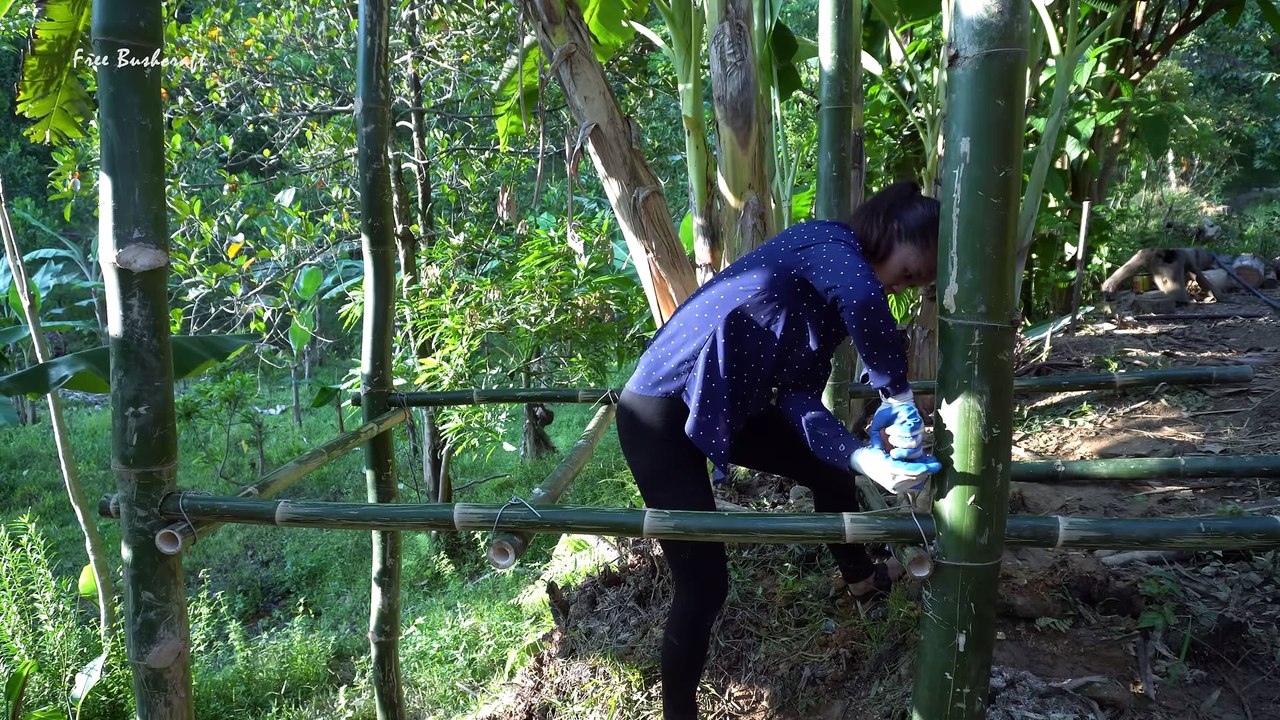 Build a Bamboo Bathhouse, Watering Vegetables in the Morning   Free Bushcraft, Ep97