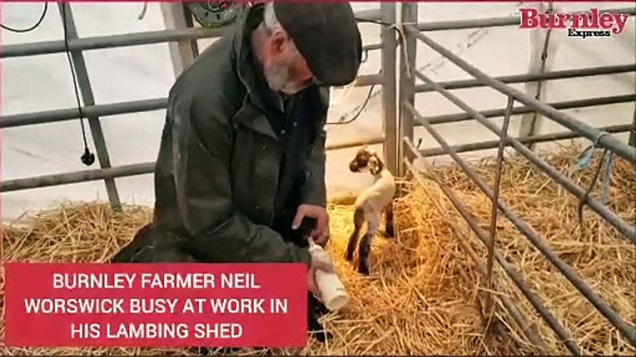 Burnley farmer Neil Worswick has appealed for dog walkers to keep their pets on a lead while out in the countryside