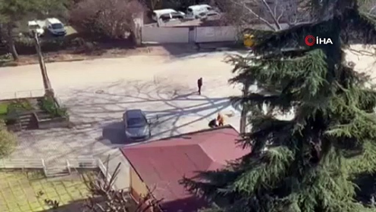 Bursa’da Kadınlar Saç Saça Birbirlerine Girdi!