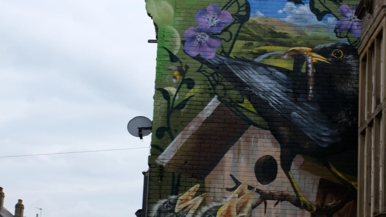 Walkley library mural