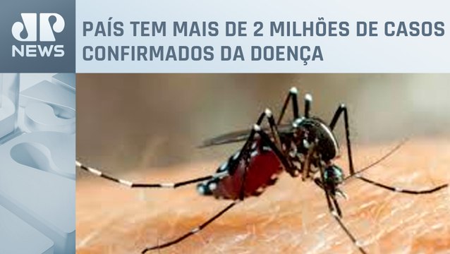 Brasil registra 831 mortes por dengue