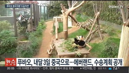 내달 '중국 귀환' 푸바오…무진동 특수차량에 전세기 동원