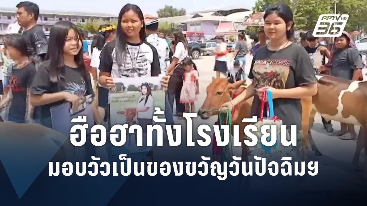 ฮือฮา! พ่อขนวัวมาให้ลูก เป็นของขวัญวันเรียนจบ | PPTV Online