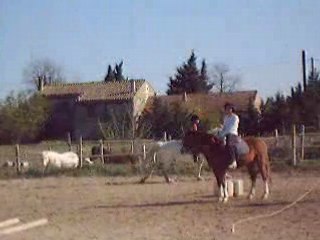 equitation le  5 avril 2008