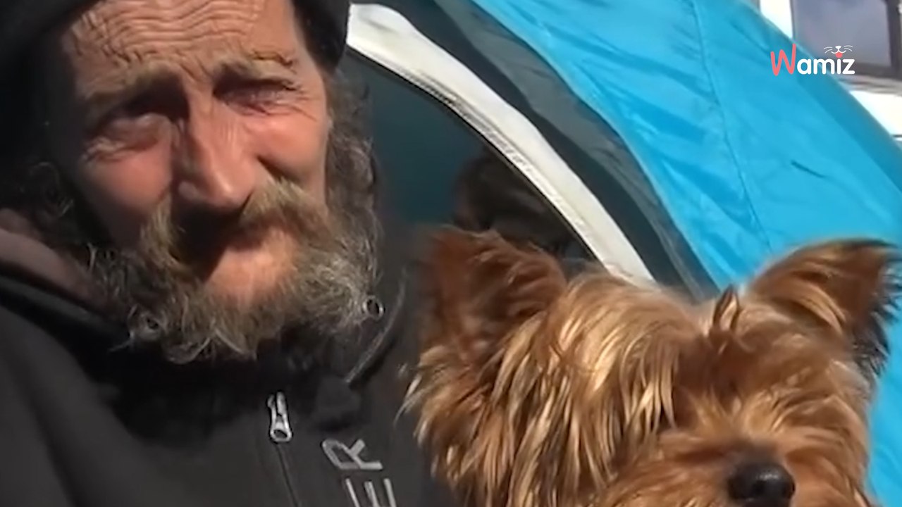 L’émouvante relation de Feliz, un chien bénéficiant d’une vie stable, et de Francis ainsi que de ses amis, va bien au-delà d’un simple lien social.