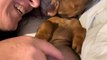 Woman Pokes Her New Puppy's Large Belly to Tease Him