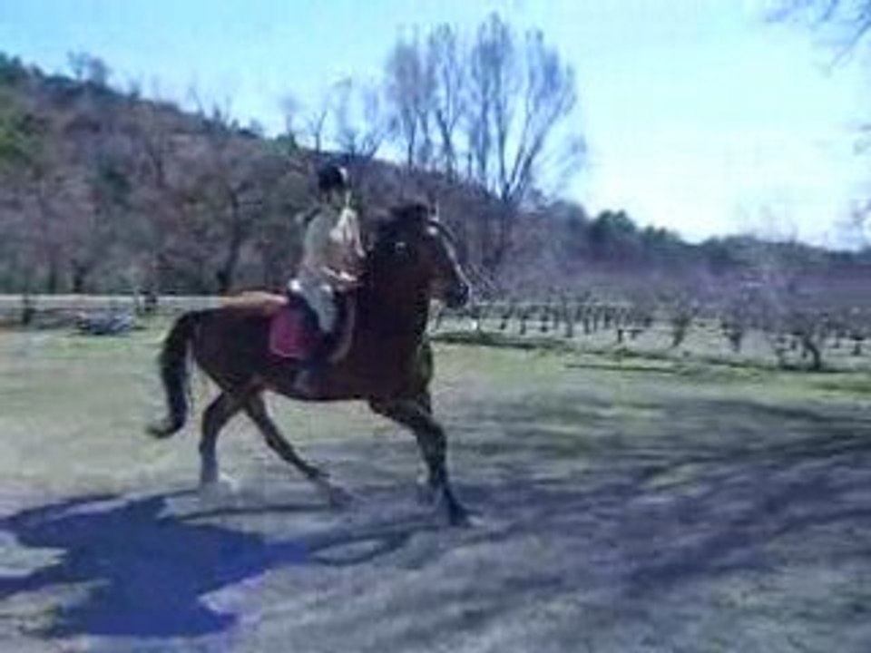 DSCF3253
