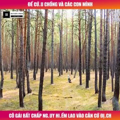 Review Phim - Để Cứu Chồng Và Các Con Mình, Cô Gái Bất Chấp Nguy Hiểm Lao Vào Căn Cứ Địch
