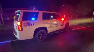 Lewiston Police Car Collides with Tractor Trailer
