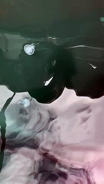 Banhistas relatam queimaduras por águas-vivas em praias do Ceará