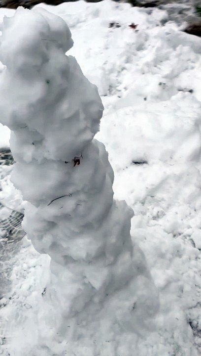 SNOW Pillar Princess