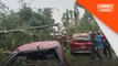 6 kereta, tiga rumah terjejas dalam kejadian pokok tumbang di KL