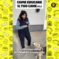 Come educare il tuo cane parte 3