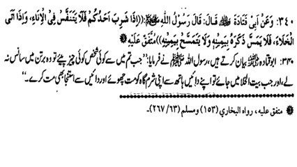 PANI PEENE KA SUNNAT TARIKA KYA HAI ? (340)