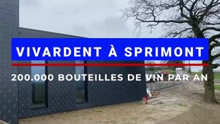 VivArdent à Sprimont veut vinifier dans son chais 200.000 bouteilles de vin par an