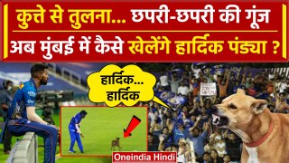 IPL 2024: Hardik Pandya की तुलना कुत्ते से, मैदान पर पड़ी गालियां, ये Video Viral है | वनइंडिया हिंदी