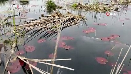 Temizlemek için seferber olunan yakıtla ilgili flaş gelişme! Oraya aktarılıyormuş
