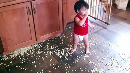 Fun Naughty Baby Troublemaker - Fun and Fails #funnycats450