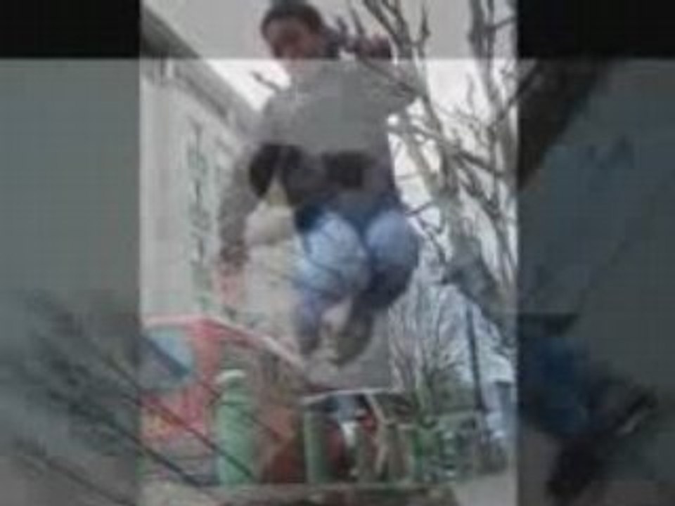 Rolleragressif3