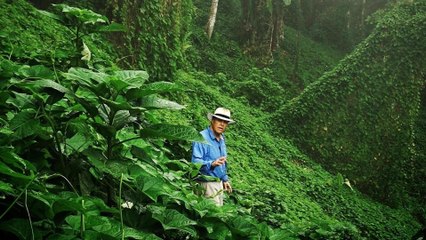 Kokoda jamais vaincus !