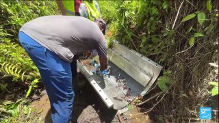 La Guadeloupe privée d'eau potable : travaux de réparation des réseaux d'eau