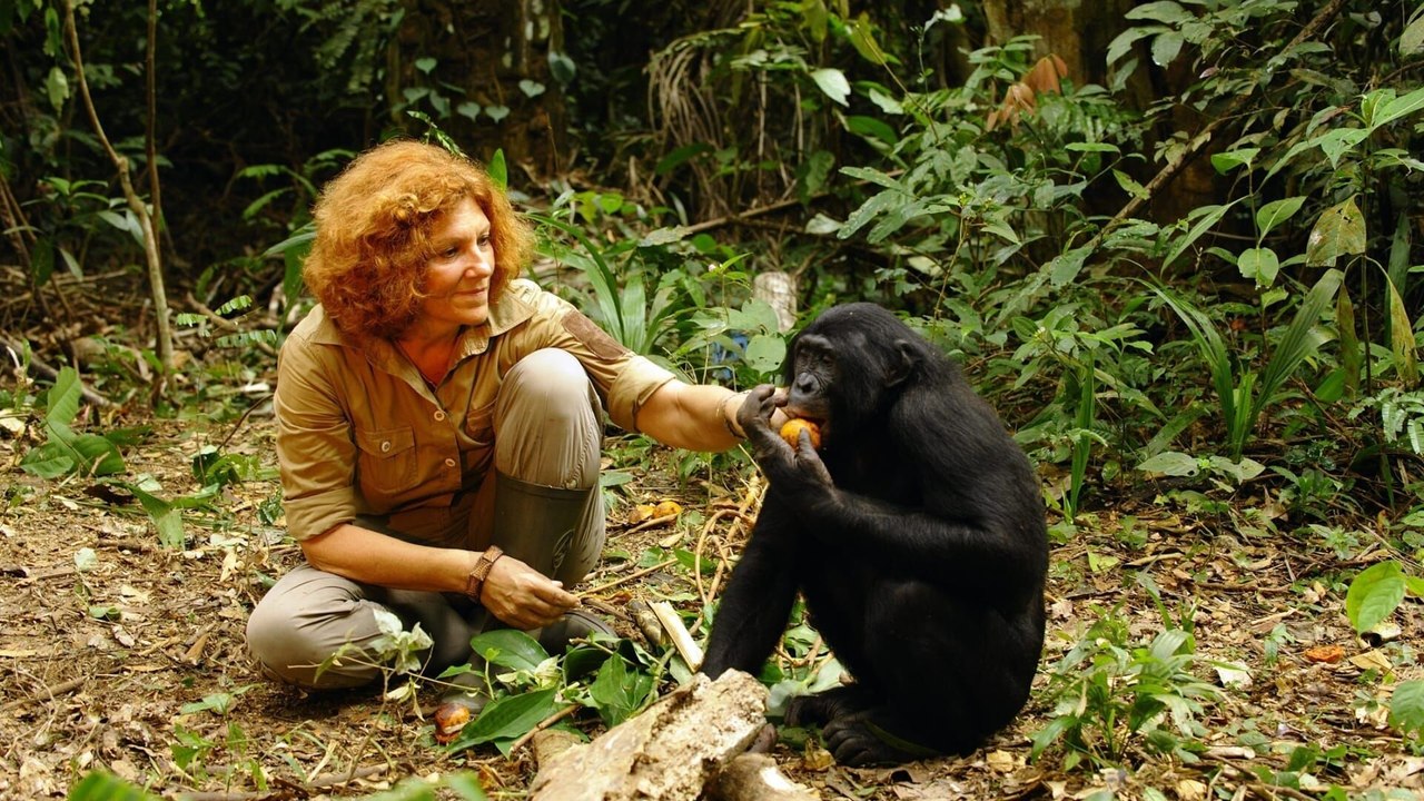 Bonobos
