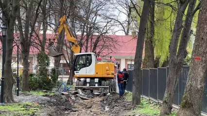 Bochnia - planty salinarne już kwitną